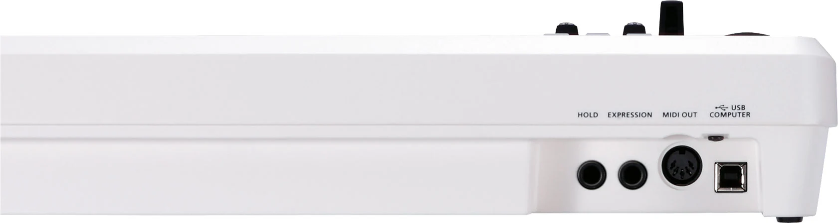 Roland A-49-WH MIDI Controller Keyboard, 49 keys (White) - Image 5
